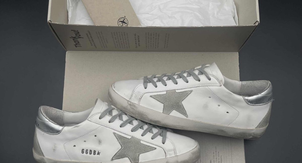 4529 Golden Goose 40