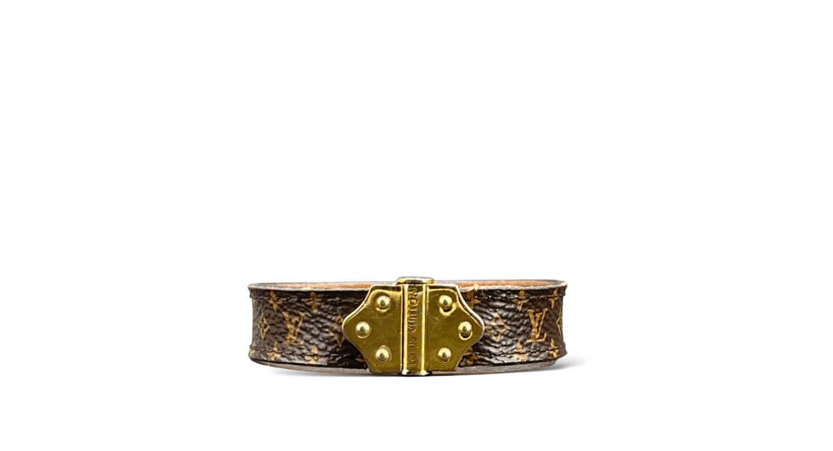 Louis Vuitton Nano Monogram / 17