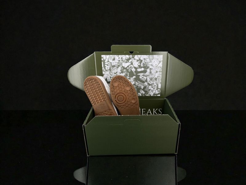 Photoroom 031 20260128 123224 2fd2dd45