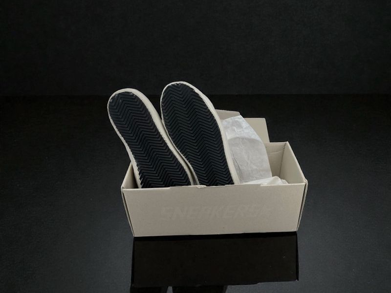 Photoroom 046 20260120 150058 3ab64a7e