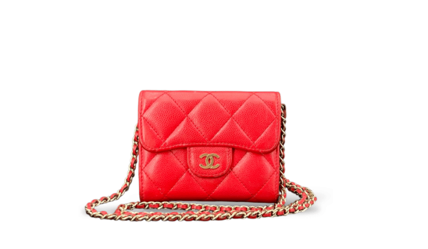 CANVA SACS 1 22 3c35f001