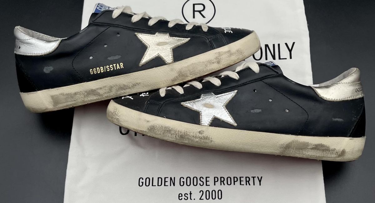 3660 Golden Goose 41