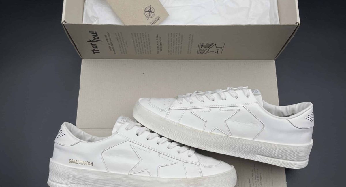 4355 Golden Goose 40