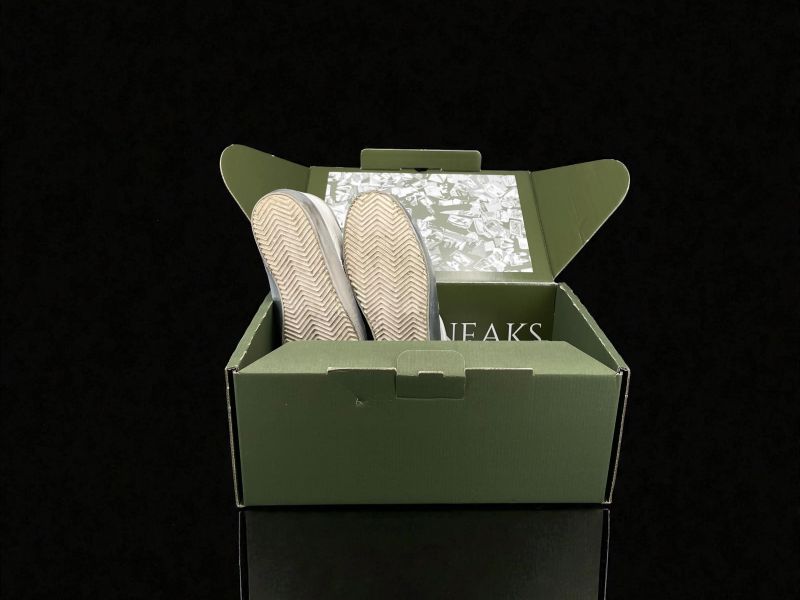 Photoroom 016 20260214 144828 6ffddea3