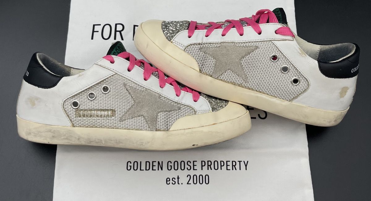 3170 Golden Goose 37