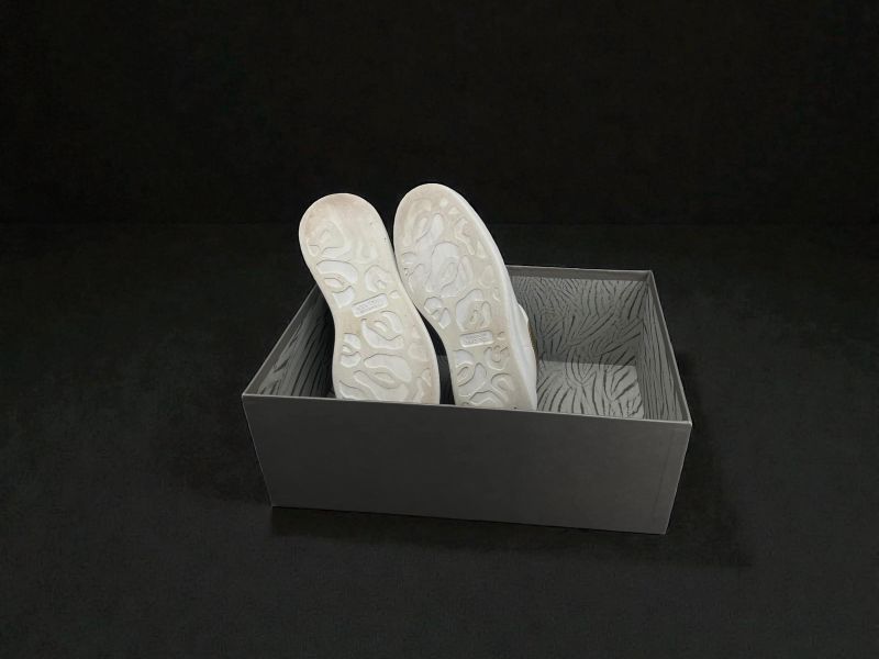 Photoroom 040 20260203 141849 839ad3d0