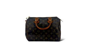 Speedy 25 scaled aa2823e1