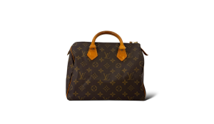 LV Speedy 25 scaled b896ebea