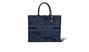 Dior Cabas scaled ce007ee2