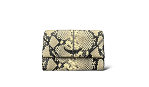 Copie de CANVA CHAUSSURES 1 e05a1bf3