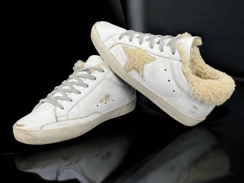 Photoroom 007 20250220 133150 f3059556