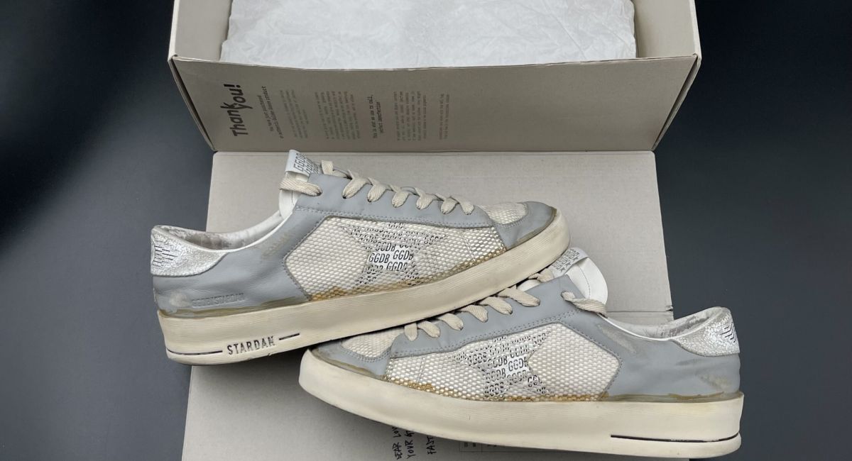 2994 Golden Goose 43