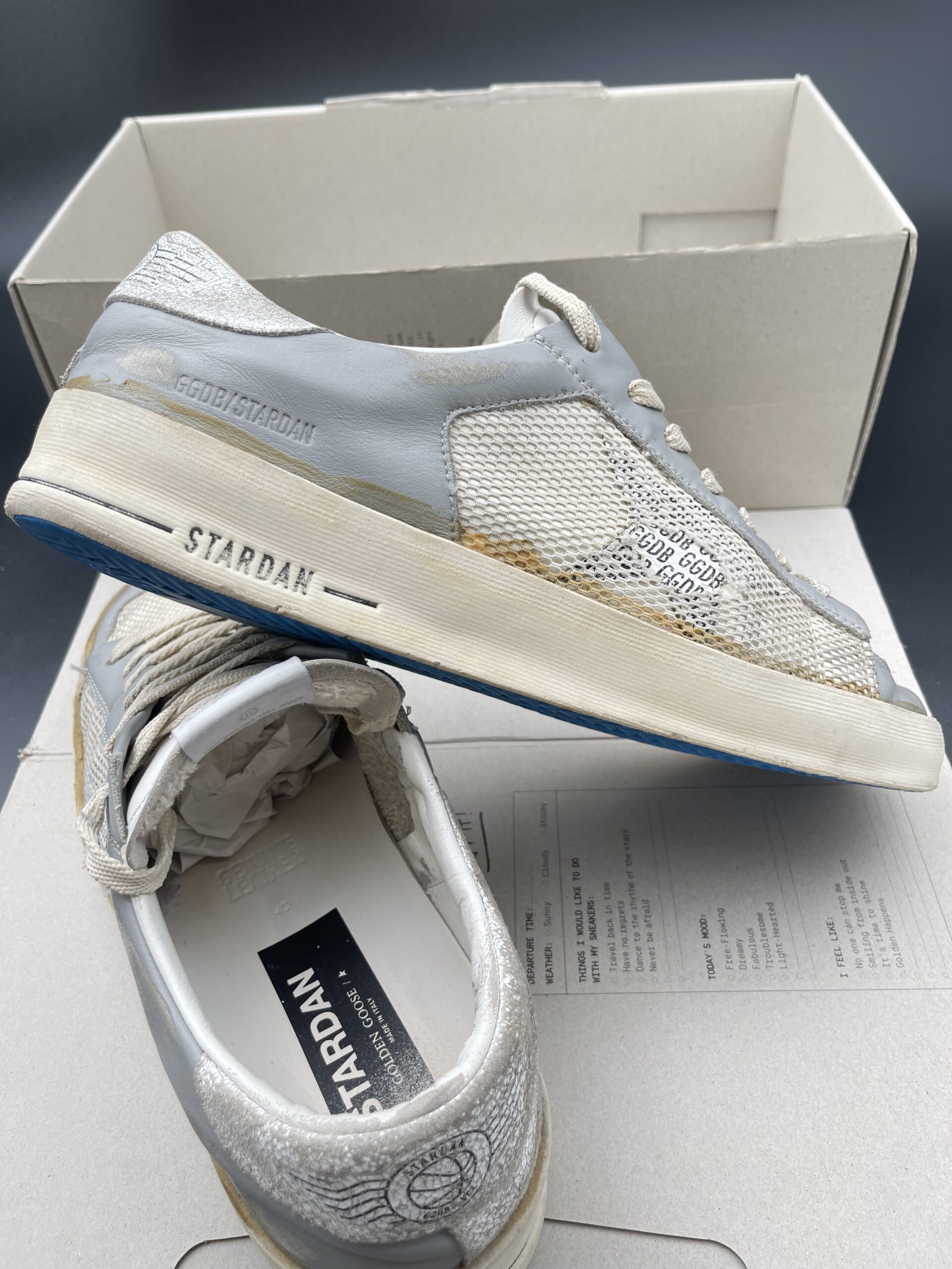 2994 Golden Goose 43 – 9