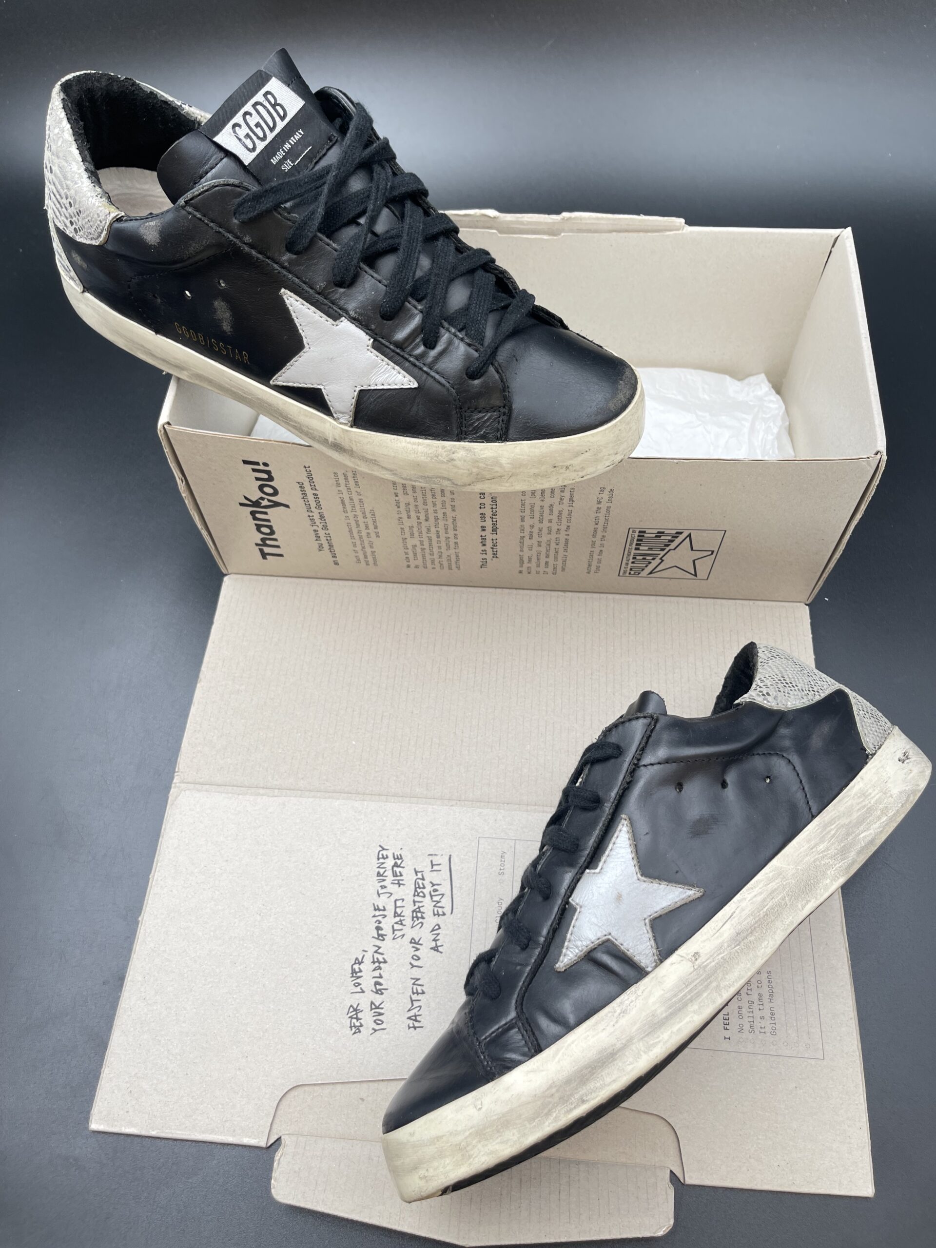 3195 Golden Goose 39 – 10