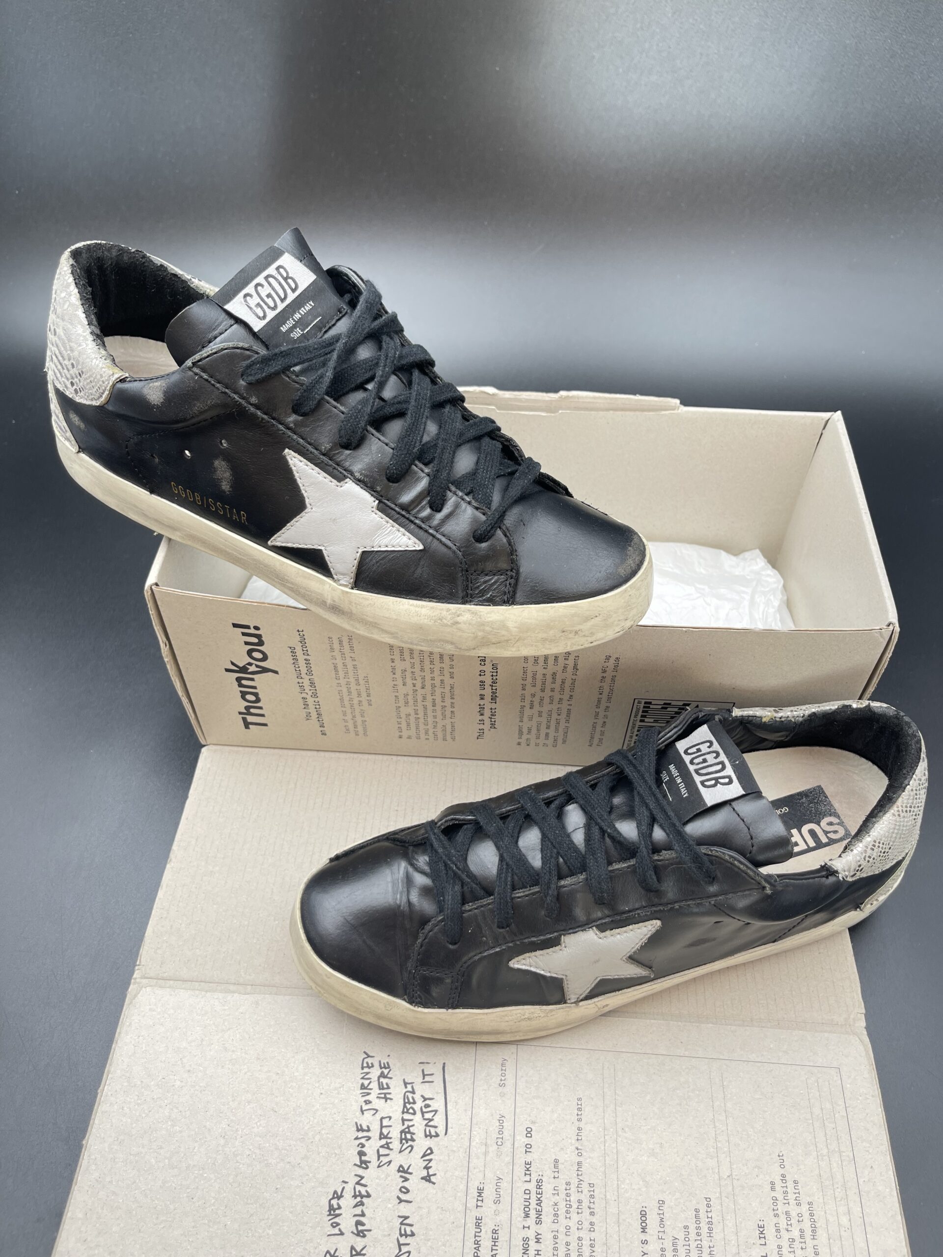 3195 Golden Goose 39 – 9