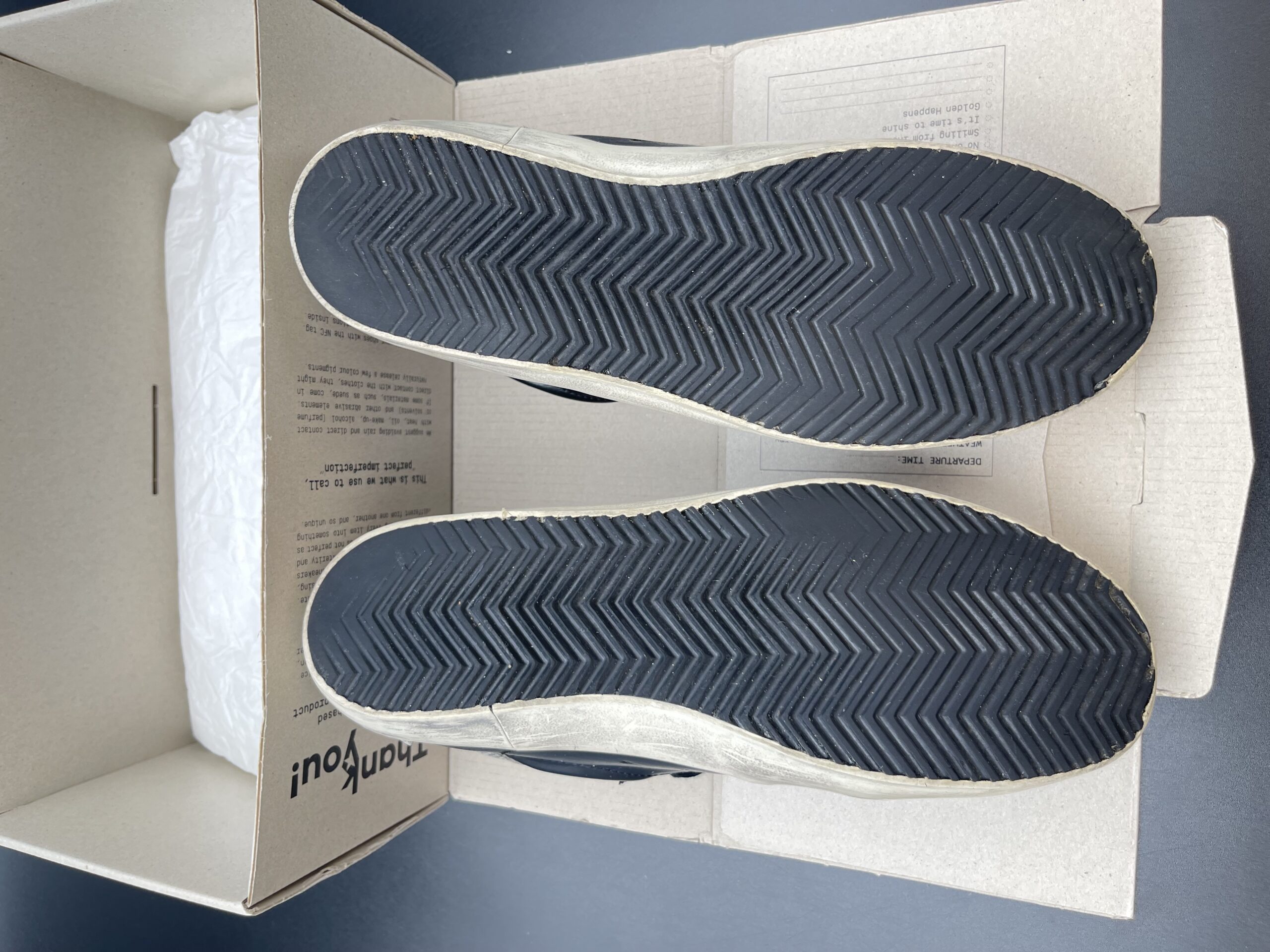 3195 Golden Goose 39 – 12