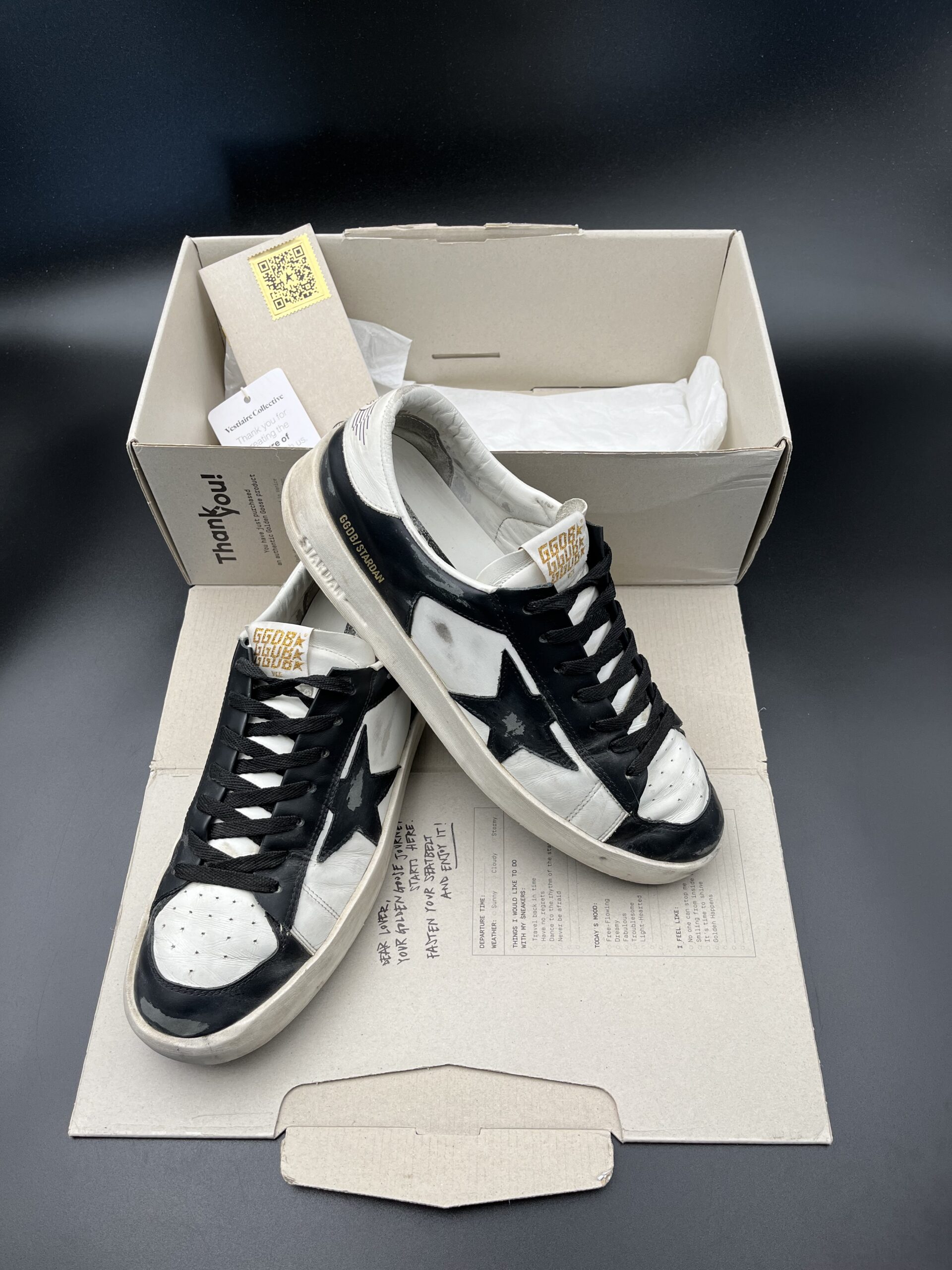 3082 Golden Goose 42 – 6