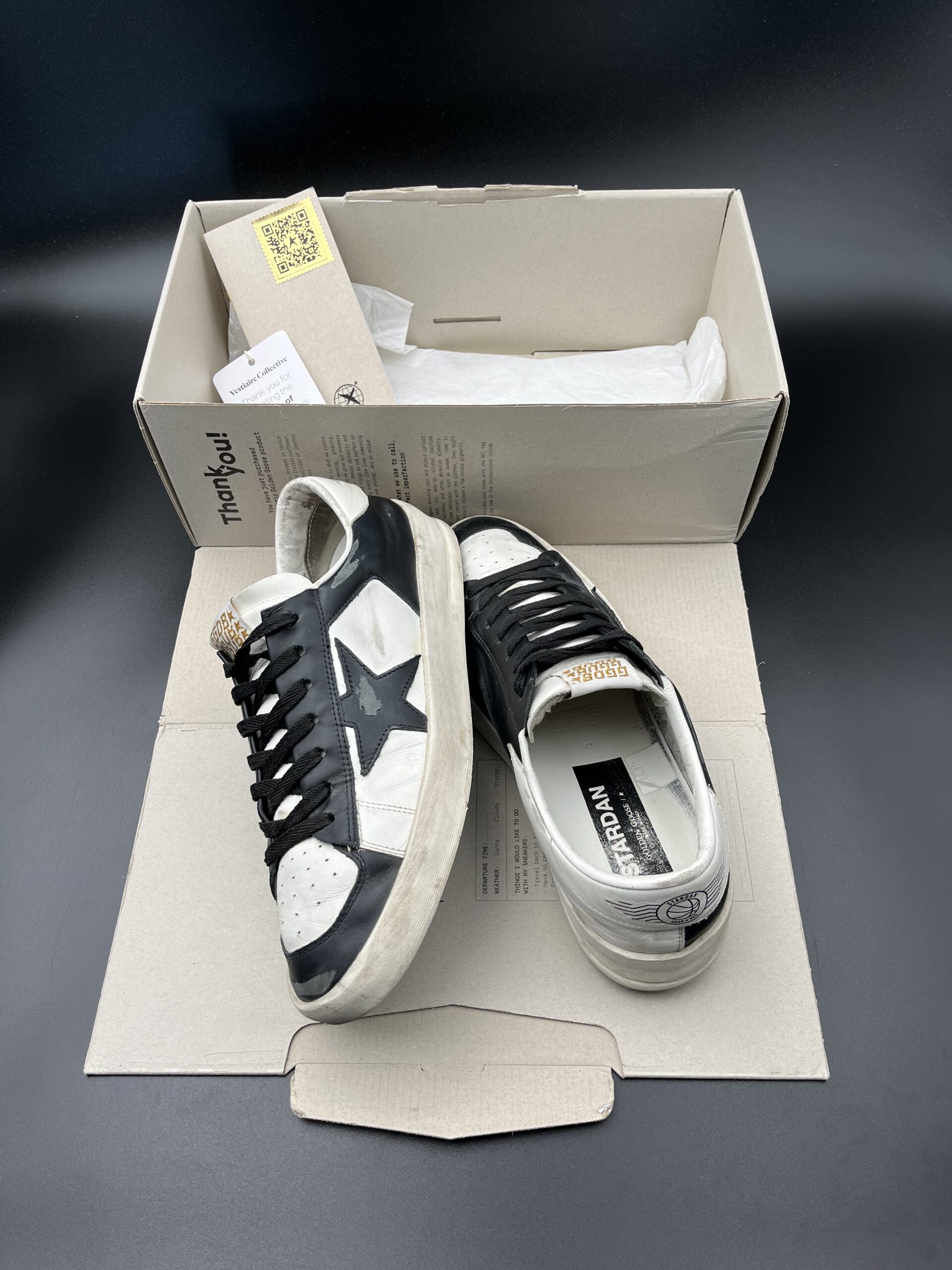 3082 Golden Goose 42 – 3