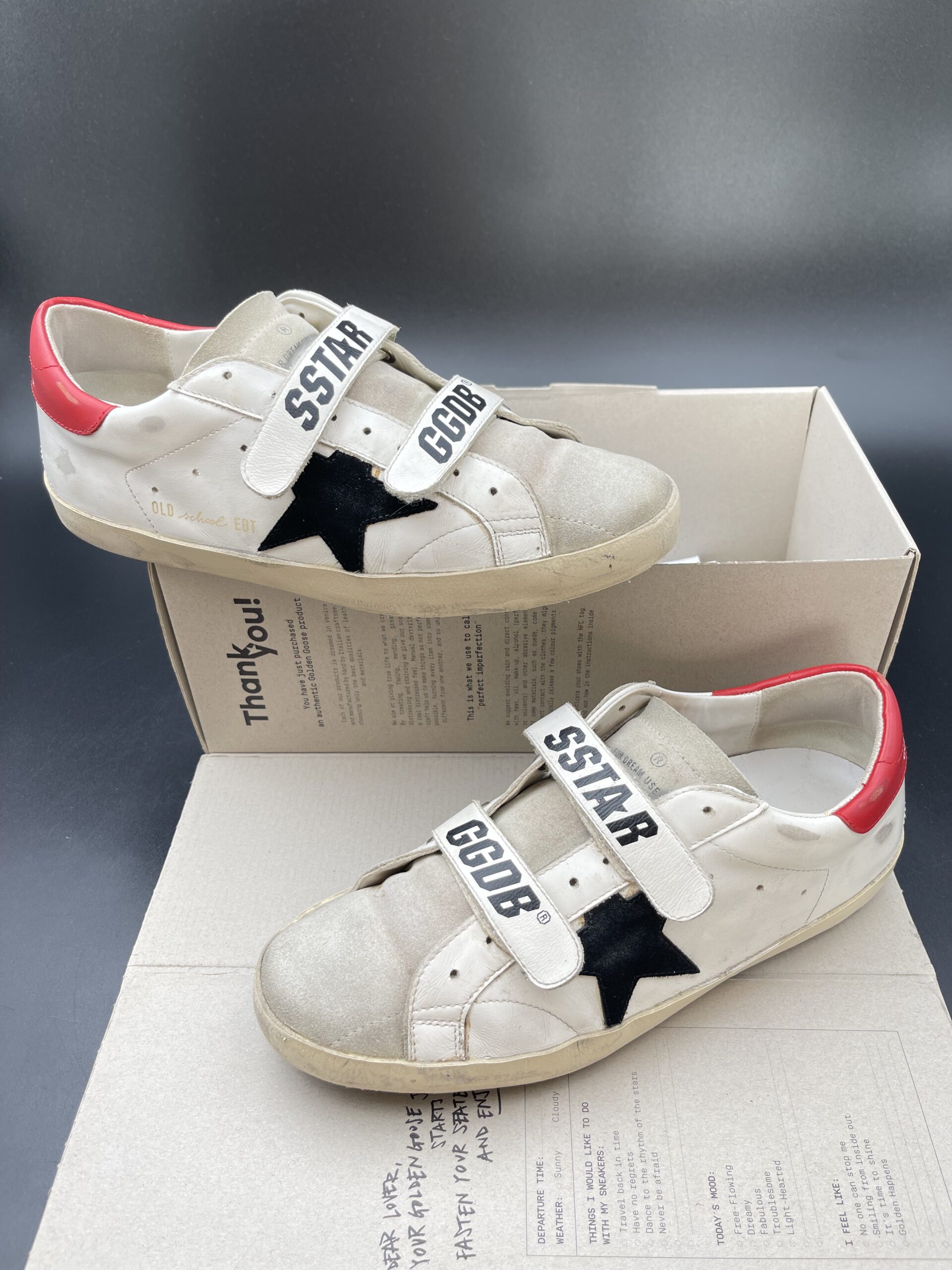 3448 Golden Goose 41 – 2