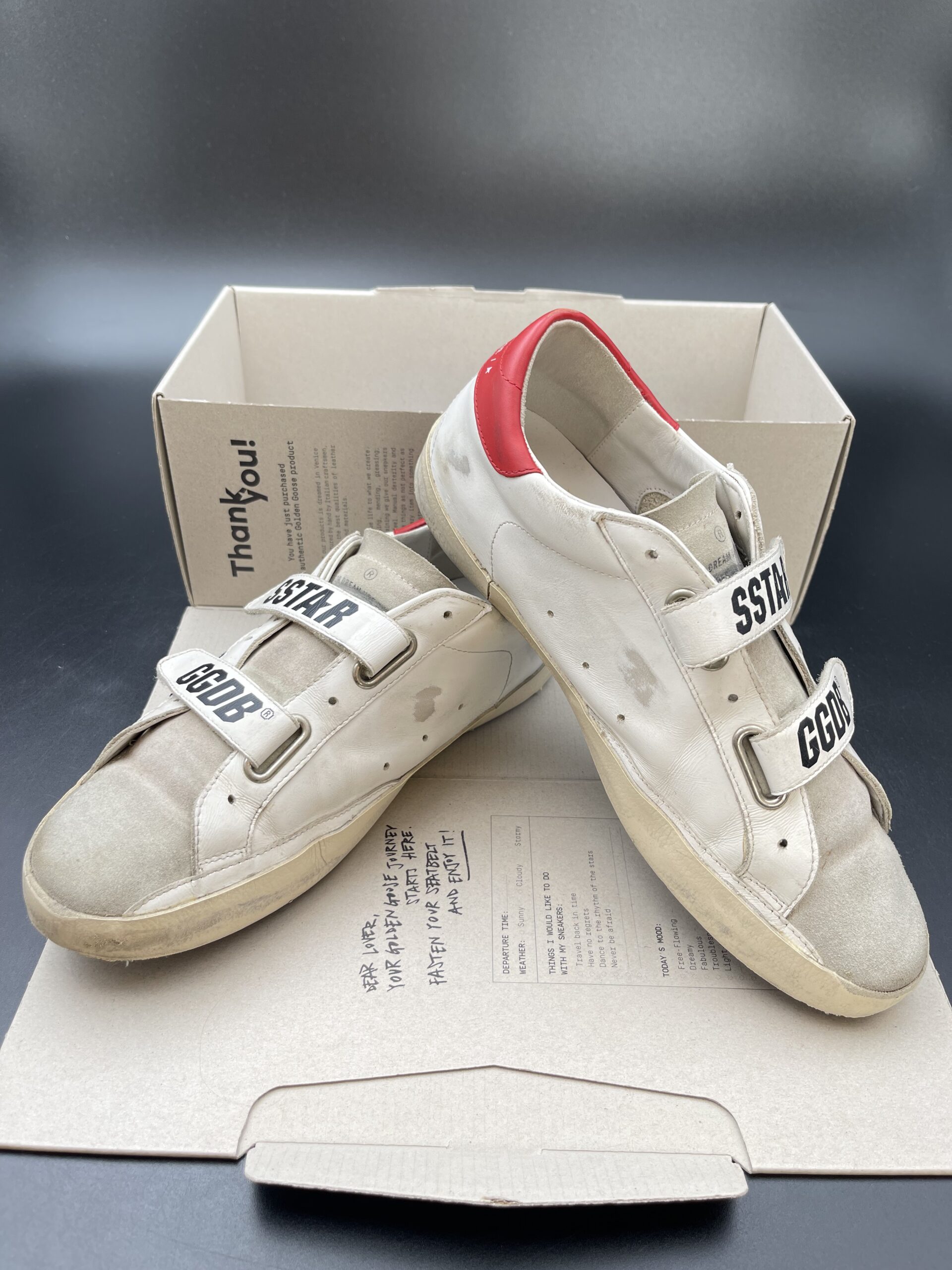 3448 Golden Goose 41 – 10
