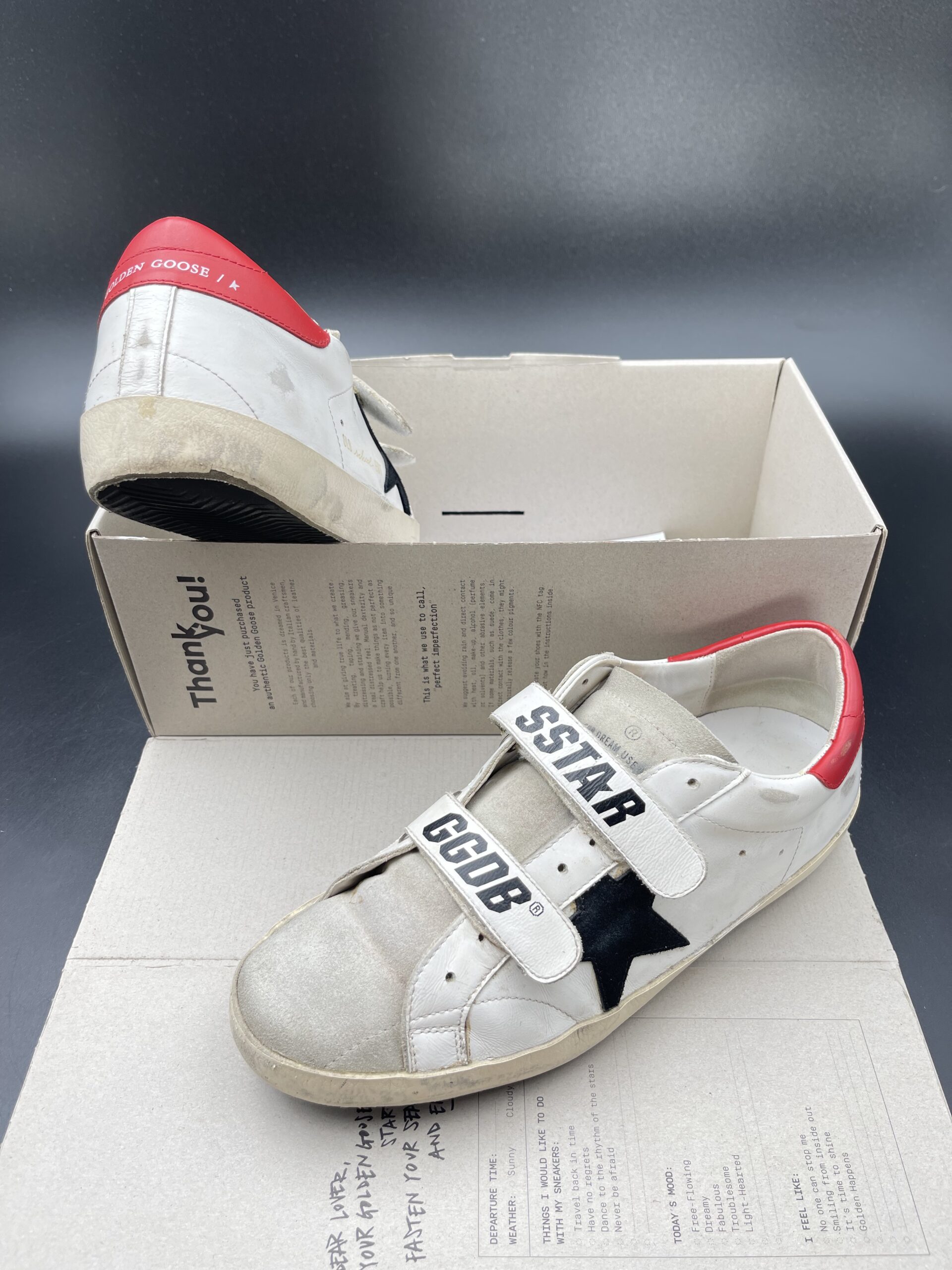 3448 Golden Goose 41 – 3
