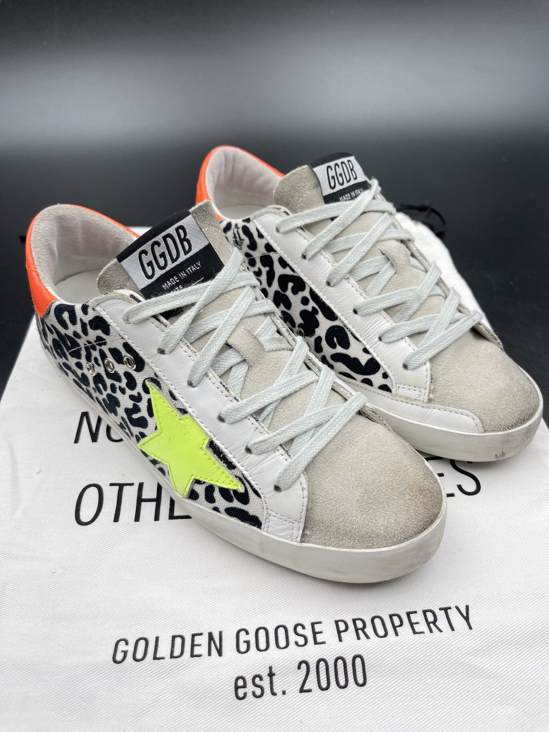 3584 Golden Goose 36 – 2