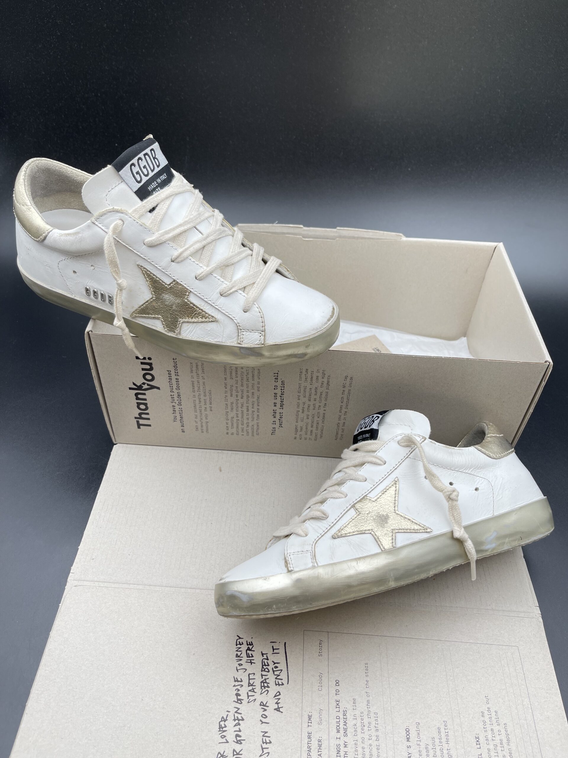 3586 Golden Goose 36 – 10