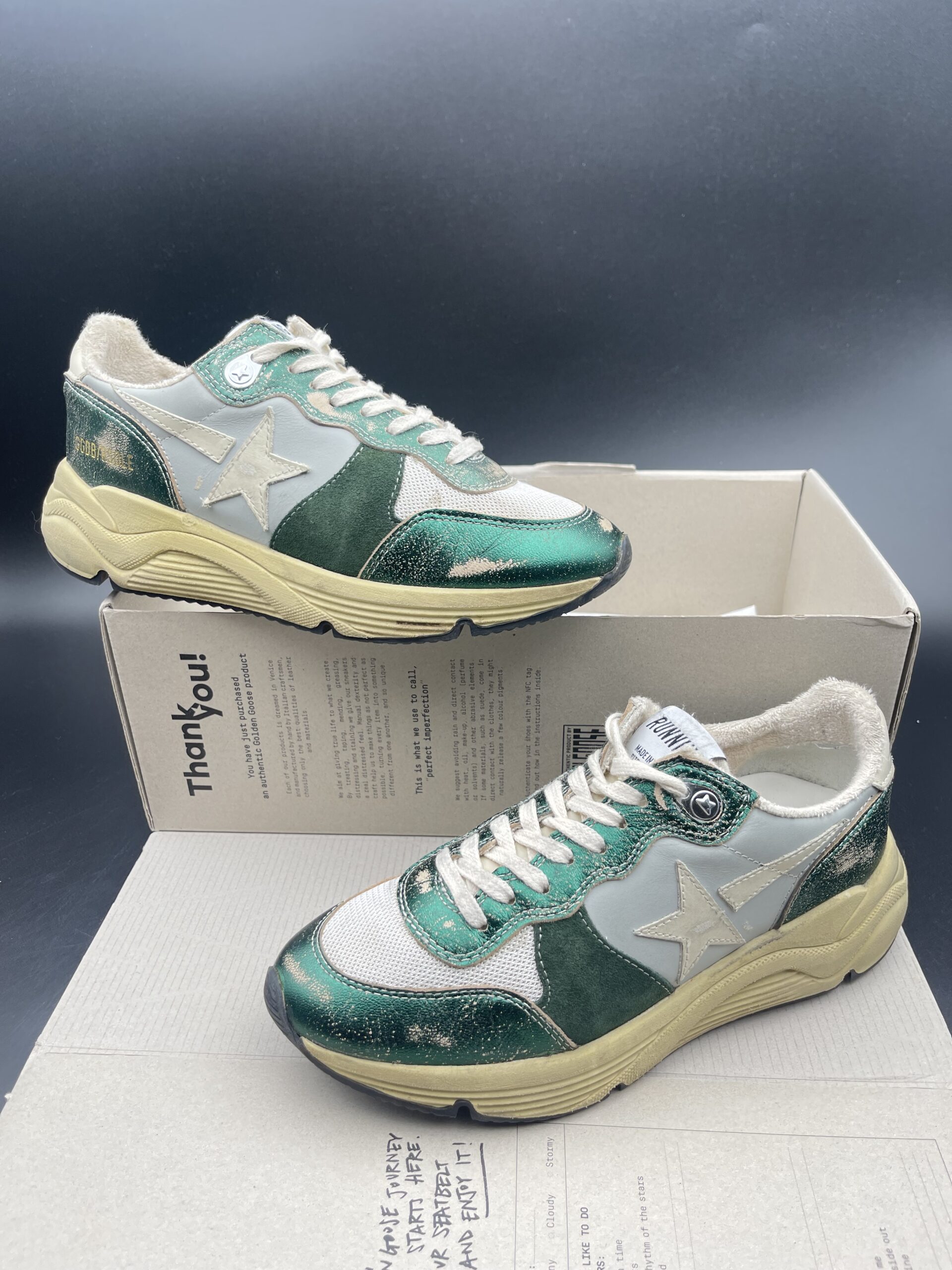3963 Golden Goose 37 – 9
