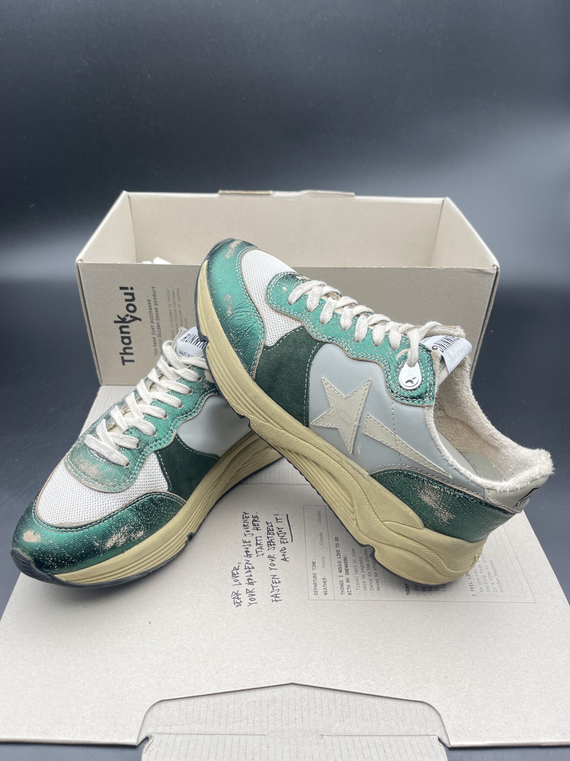3963 Golden Goose 37 – 7