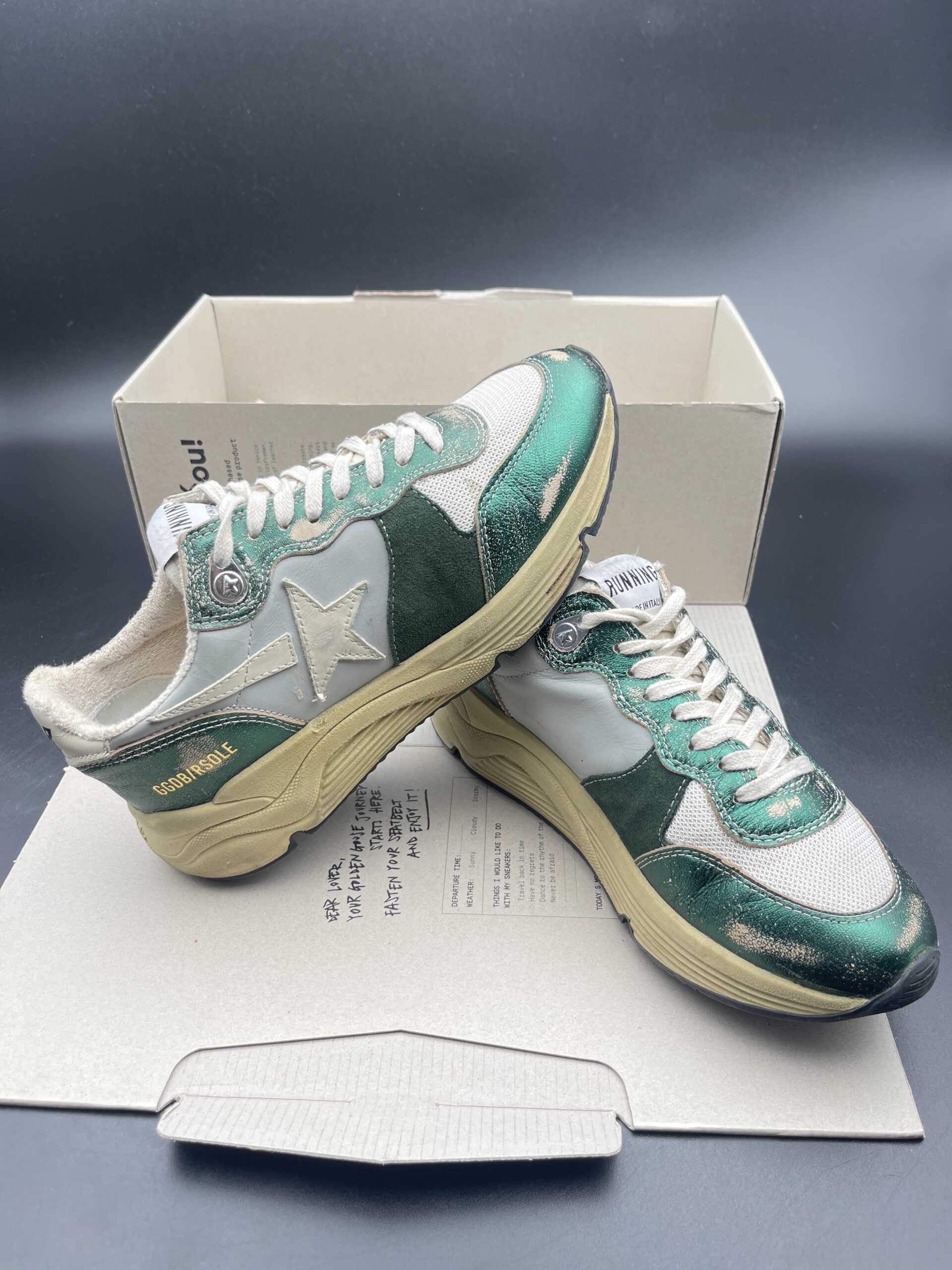3963 Golden Goose 37 – 6