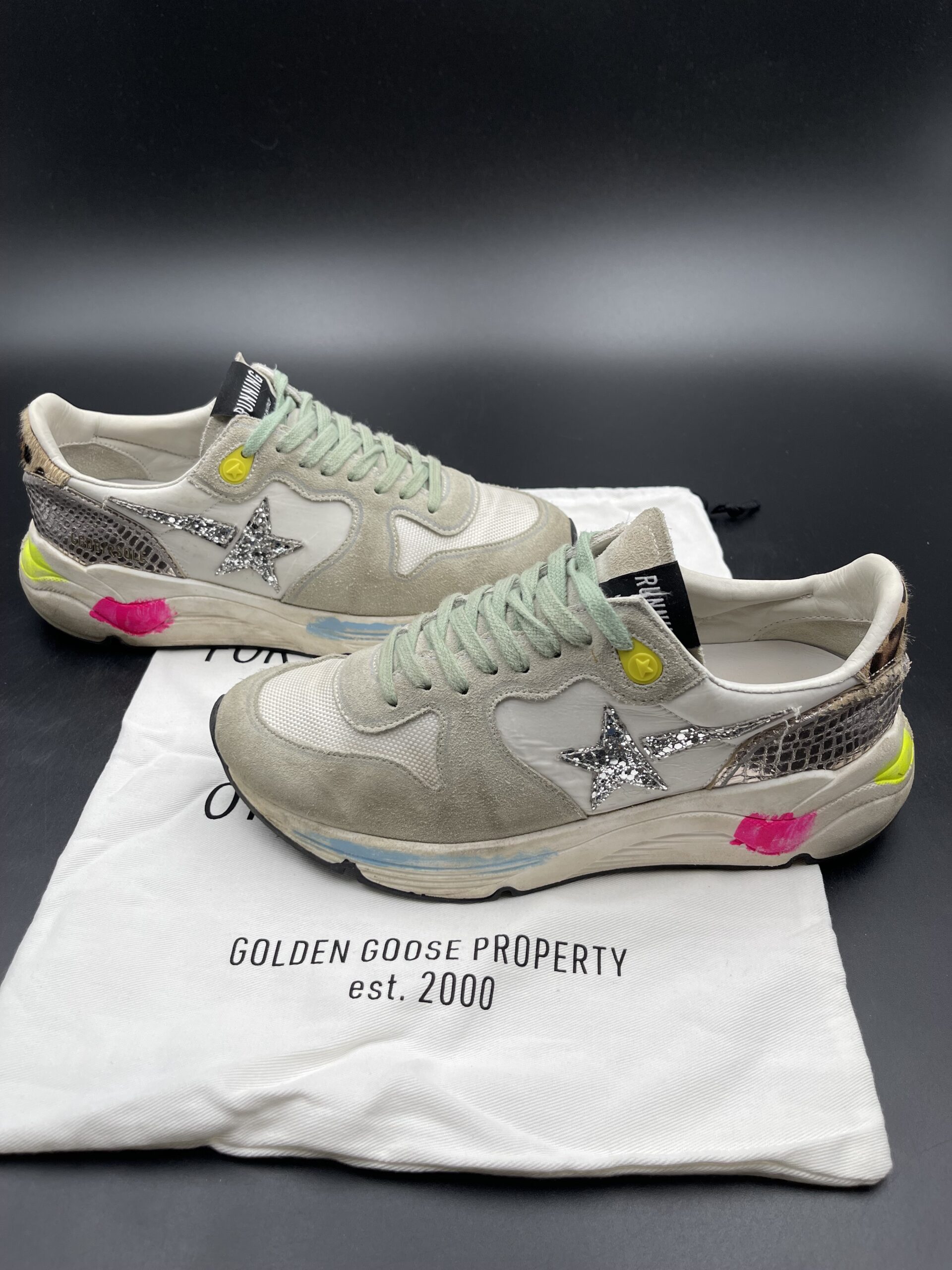 4461 Golden Goose 38 – 11