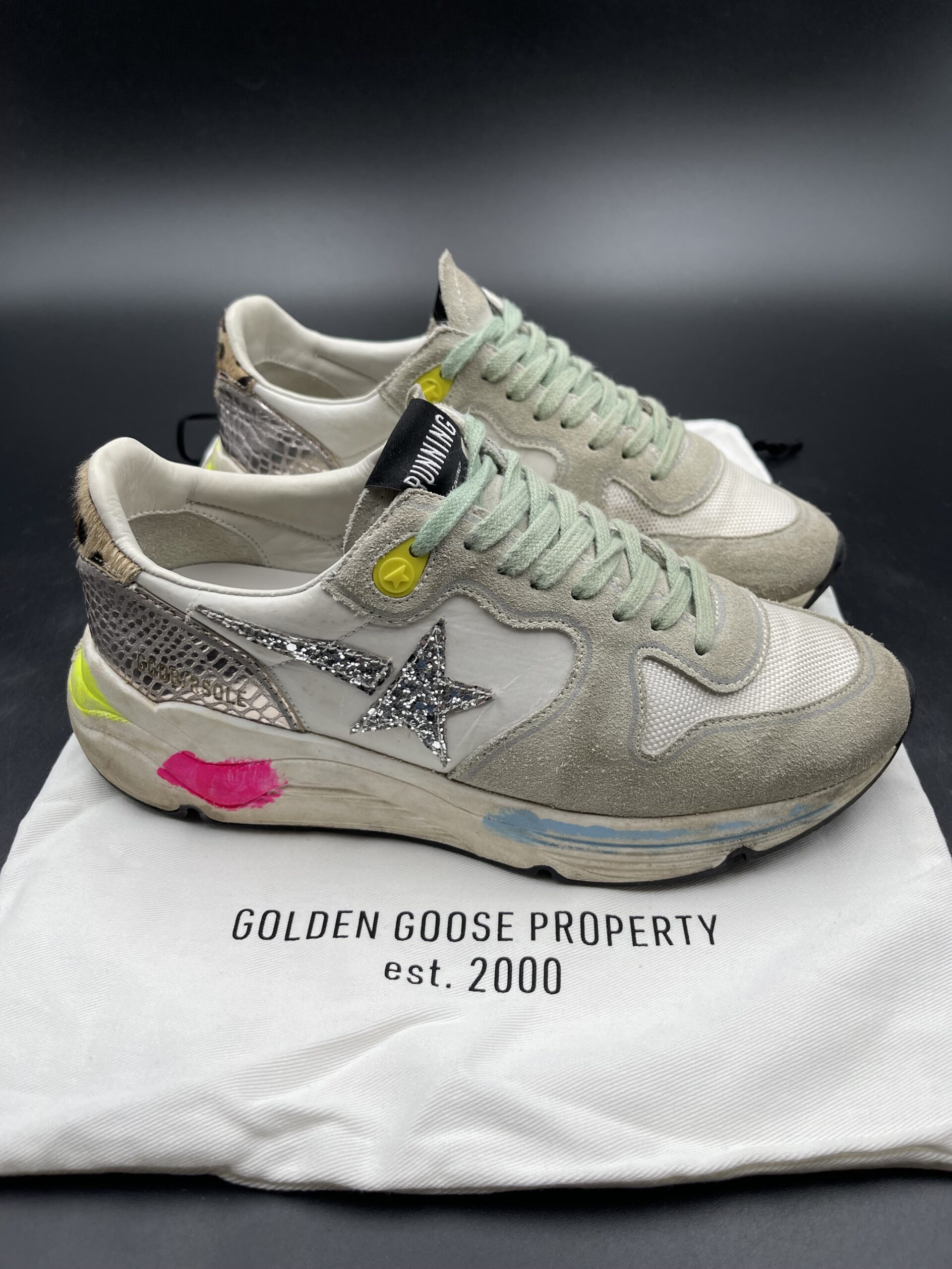4461 Golden Goose 38 – 9