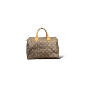 Speedy Louis Vuitton - 30