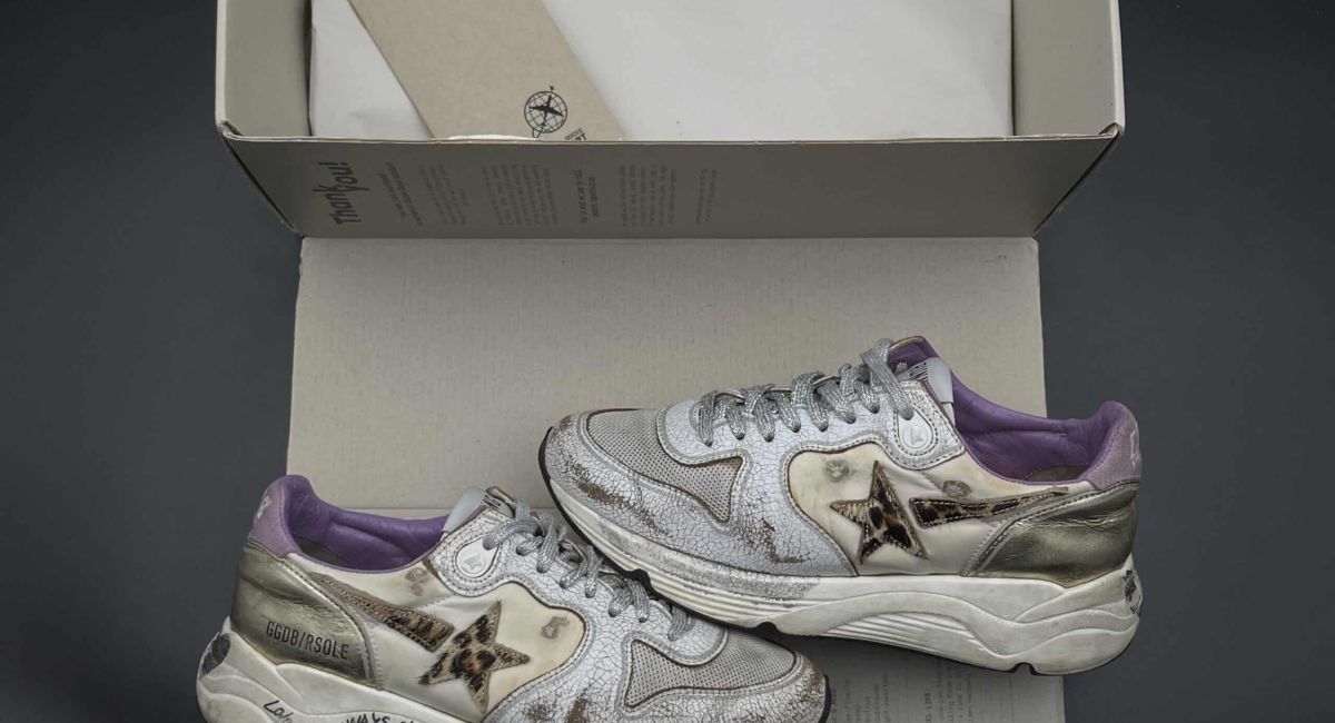 4353 Golden Goose 36