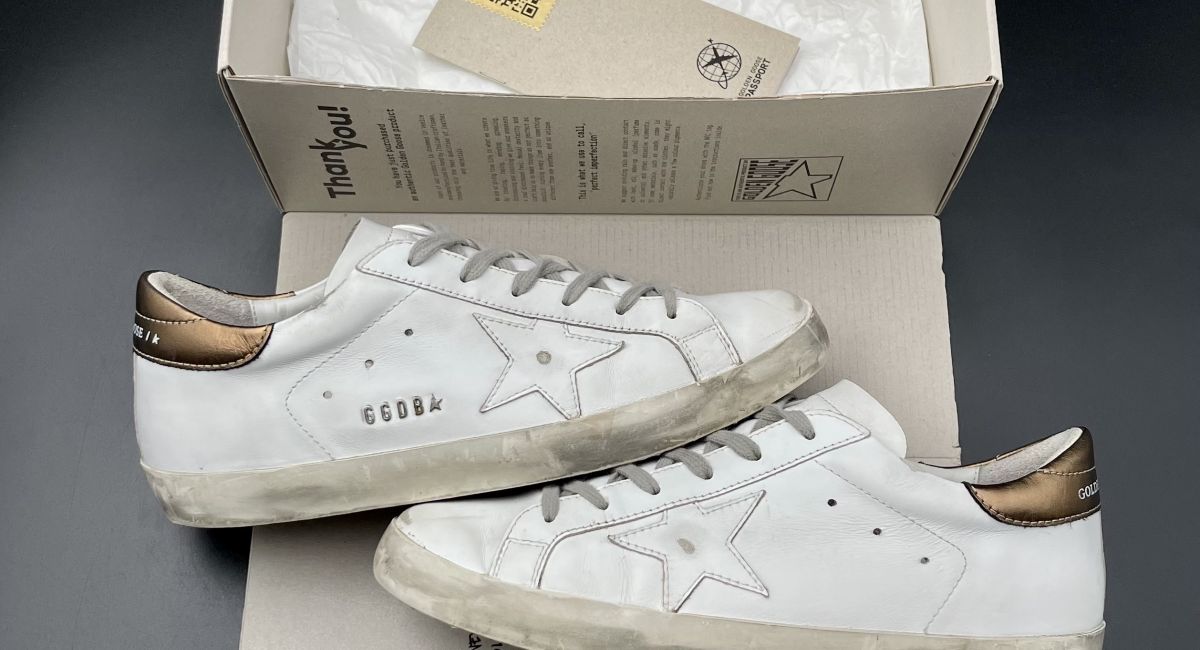 3154 Golden Goose 41
