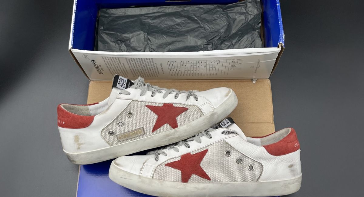 2993 Golden Goose 43
