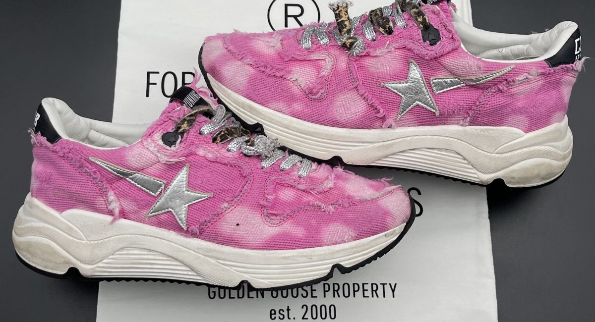3667 Golden Goose 39