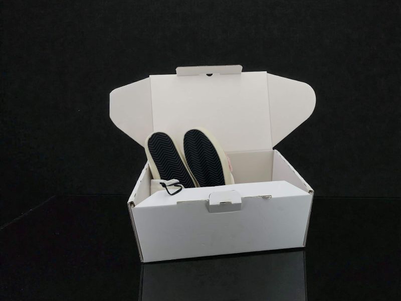 Photoroom 021 20260214 144828 e9032caf